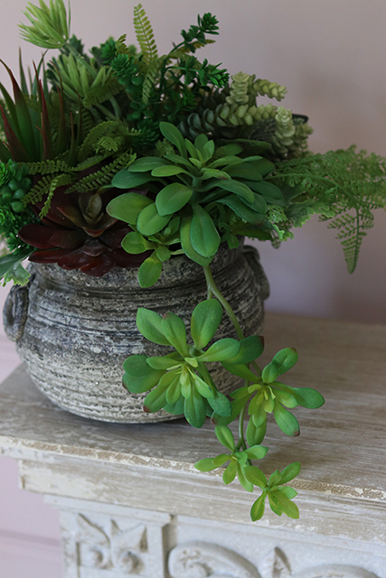 Hera, efektowna kompozycja Sukulenty w ceramicznym naczyniu, wys.30cm