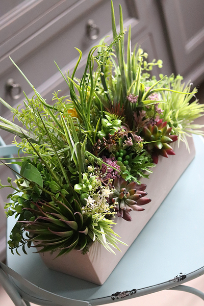 kompozycja Sukulenty Tavina w betonowej donicy, wys.30cm