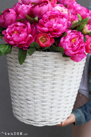 bardzo bogaty kosz peonii, Martines Pink wym.58x55cm