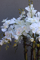 Golderia, elegancki storczyk podłogowy w złotej donicy, wys.130cm 