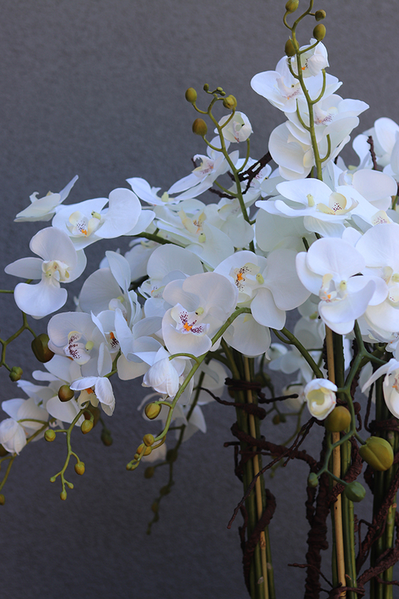 Golderia, elegancki storczyk podłogowy w złotej donicy, wys.130cm 