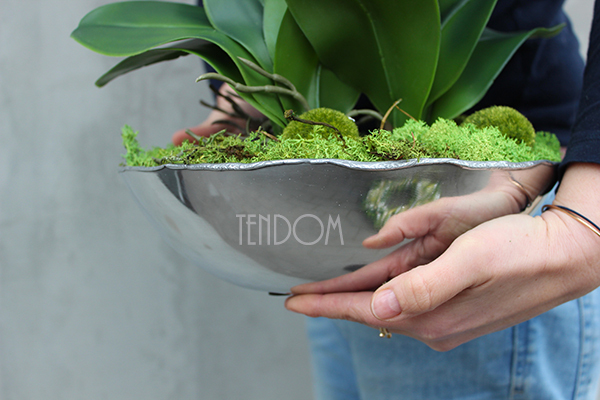 sztuczny storczyk Silver Dreams 2 w srebrnej, aluminiowej donicy, wys.68cm 