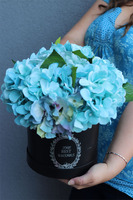 flowerbox hortensje, Blue Mojito, wym.31x33cm