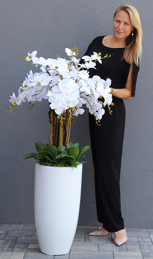 Grande Fiberglass Extra Śnieżna Biel, efektowny storczyk w białej donicy z fiberglass (połysk), wys.150cm