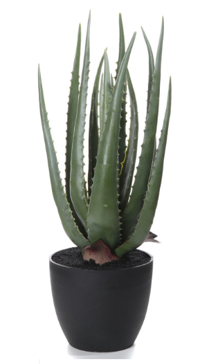 aloes Lucas, sztuczna roślina / sukulent, wys.50cm