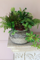 Hera, efektowna kompozycja Sukulenty w ceramicznym naczyniu, wys.30cm