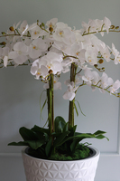 duży sztuczny storczyk w białej donicy, Milena Grande, wys.105cm