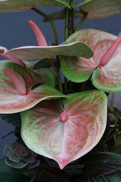 strzelista kompozycja kwiatowa z anturium, Modern, wys.66cm