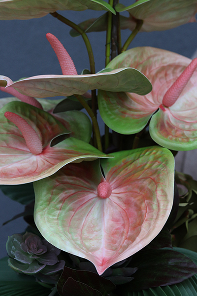 strzelista kompozycja kwiatowa z anturium, Modern, wys.66cm