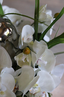 Dekoria Pear 2, storczyk kompozycja kwiatowa w srebrnym naczyniu, wym.29x37cm 