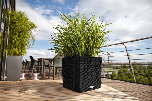 Cube Cottage, elegancka donica z nawadnianiem, czarna, wym.40x40cm