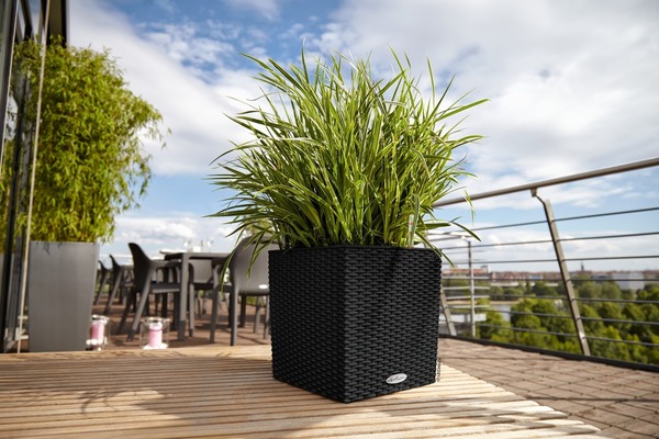 Cube Cottage, elegancka donica z nawadnianiem, czarna, wym.40x40cm