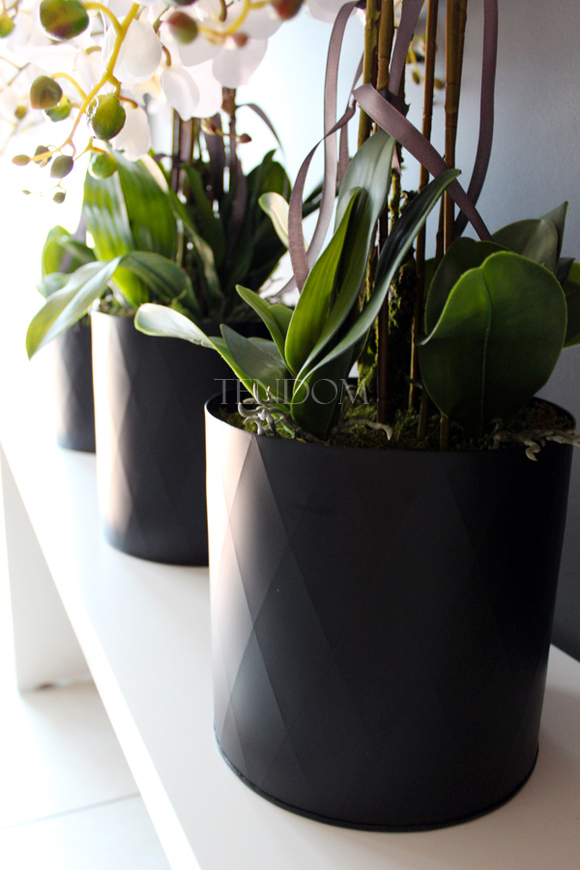 sztuczny storczyk Black Dreams, wys.72cm średni