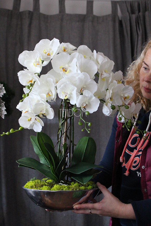 sztuczny storczyk Silver Dreams 2 w srebrnej, aluminiowej donicy, wys.68cm 