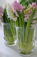 lampion szklany Florence mały