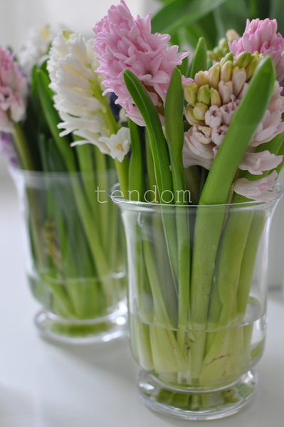 lampion szklany Florence mały