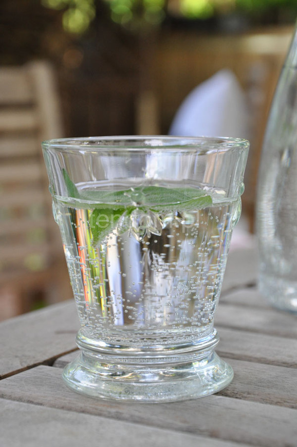 komplet 6-ciu kieliszków z motywem pszczoły La Rocheare wys.6,4cm