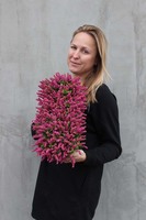 Wrzosy, kompozycja kwiatowa w czarnej donicy, wys.44x17cm 