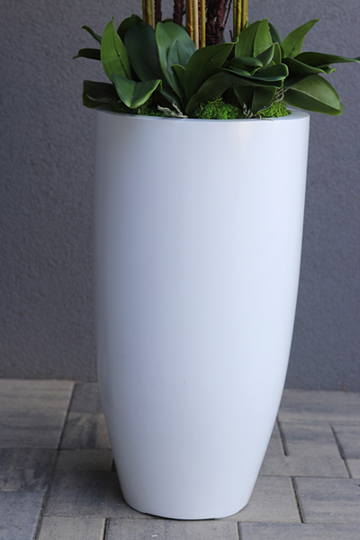 Grande Fiberglass Extra Śnieżna Biel, efektowny storczyk w białej donicy z fiberglass (połysk), wys.150cm