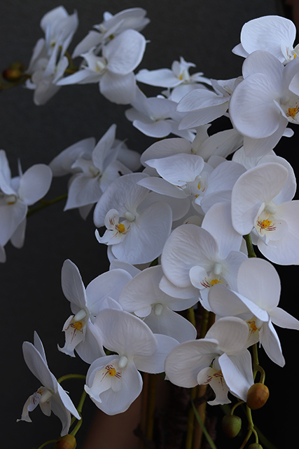 sztuczny storczyk Brigitta Leo, wys.60cm