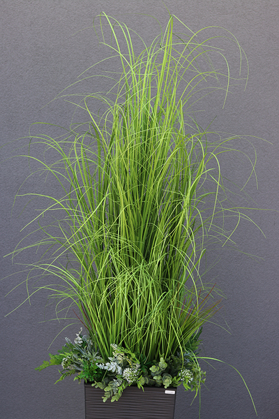 Anna Modern Grey, kompozycja z traw w dłutowanej donicy, wys.160cm 