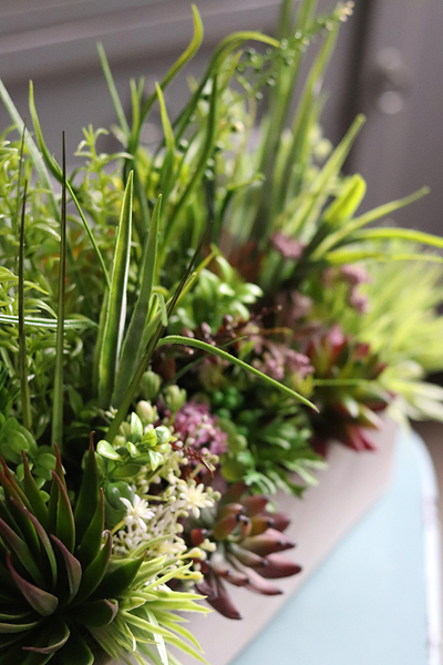 kompozycja Sukulenty Tavina w betonowej donicy, wys.30cm