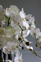 Jardin Petite, sztuczny storczyk w metalowej osłonce, wys.80cm 