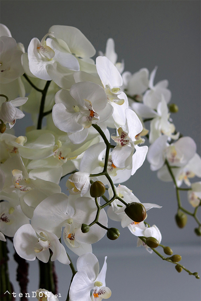 Jardin Petite, sztuczny storczyk w metalowej osłonce, wys.80cm 