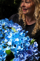 elegancka kompozycja kwiatowa / bukiet Hydrangea wys.40cm, dł.70cm