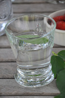 komplet 6-ciu kieliszków z motywem pszczoły La Rocheare wys.6,4cm