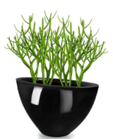 Fiberglass donica Queen Black 76x38x47cm