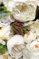 Beauty, kwietna rama jednostronna, wym.80x60cm