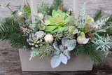 bożonarodzeniowy stroik / kompozycja z Sukulentami wys.35x34x25cm 