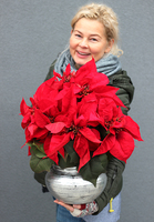 Gwiazda Betlejemska I, wysokiej jakości sztuczna roślina, wym.35x50cm