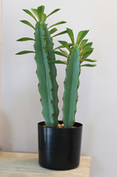 Monico, kaktus, wysokiej jakości sztuczna roślina, wys.44cm