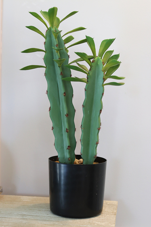 Monico, kaktus, wysokiej jakości sztuczna roślina, wys.44cm