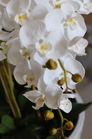 duży sztuczny storczyk w białej donicy, Milena Grande, wys.105cm