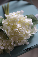bukiet hortensji, Pastel Melody, ecru, 4szt. dł.36cm