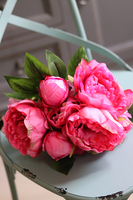 bukiet różowych Piwonii, Dark Pink Spring, 8szt., dł.35cm 