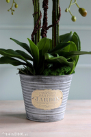 Jardin Petite, sztuczny storczyk w metalowej osłonce, wys.80cm 