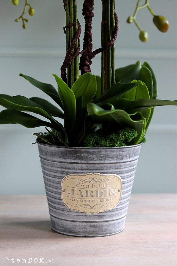 Jardin Petite, sztuczny storczyk w metalowej osłonce, wys.80cm 