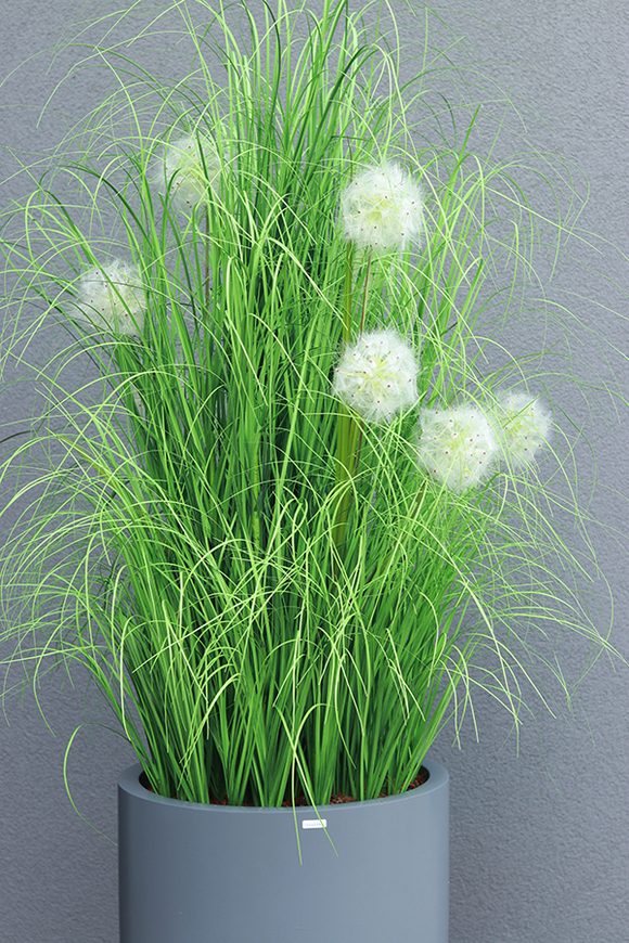 Dandelion Fiberglass Grey, trawa w szarej donicy z dmuchawcami, wys.190cm