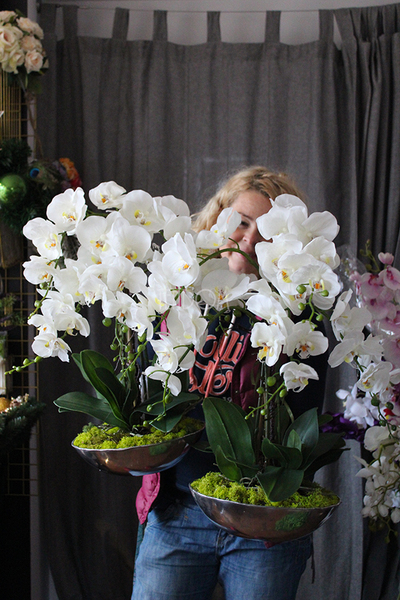 sztuczny storczyk Silver Dreams 2 w srebrnej, aluminiowej donicy, wys.68cm 