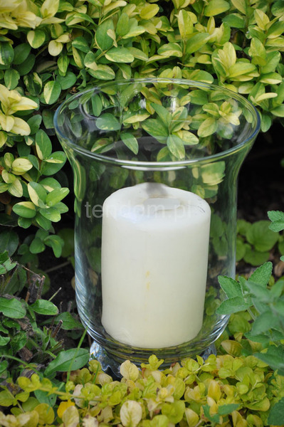 lampion szklany Florence mały