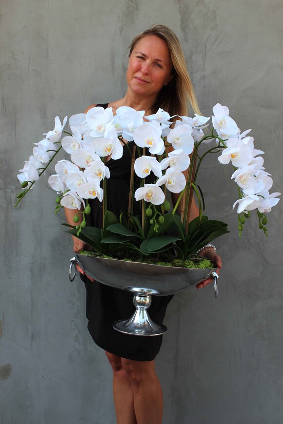 bardzo duży storczyk w eleganckim pucharze Alladino 2, wys.68cm