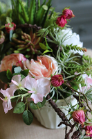 efektowna kompozycja z sukulentami w ażurowej donicy, Wenila 1, dł.58cm