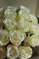 flowerbox welurowy z różami, Mercedes Velvet Creme, wys.26cm