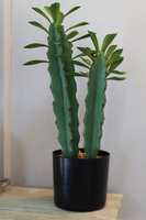 Monico, kaktus, wysokiej jakości sztuczna roślina, wys.44cm