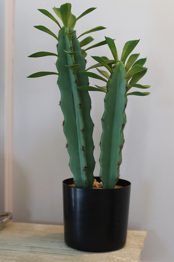 Monico, kaktus, wysokiej jakości sztuczna roślina, wys.44cm
