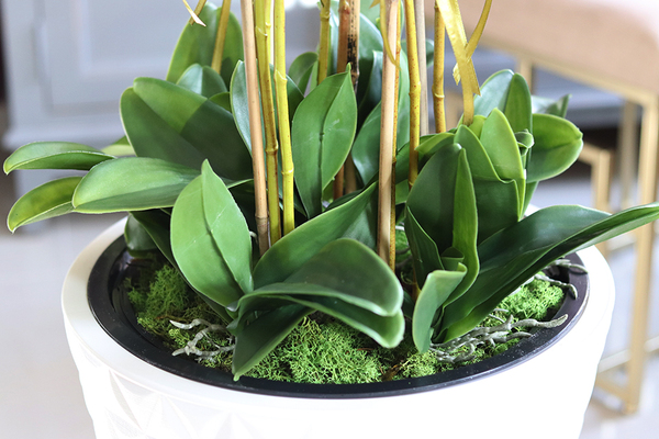 duży sztuczny storczyk w białej donicy, Milena Grande, wys.105cm